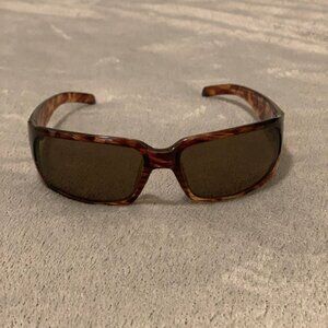 Women's Brown Sunglasses with Animal Print and Gold Accents on the Side Temple